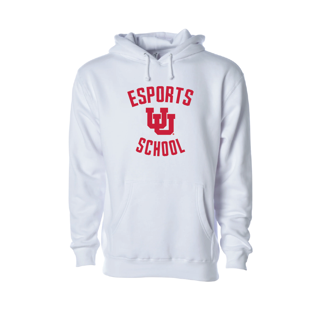 Esport School Embroidered Hoodie