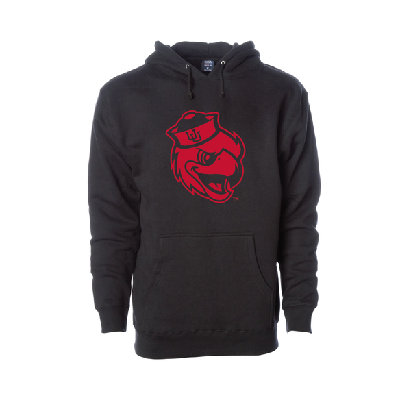 Swoop  Embroidered Hoodie