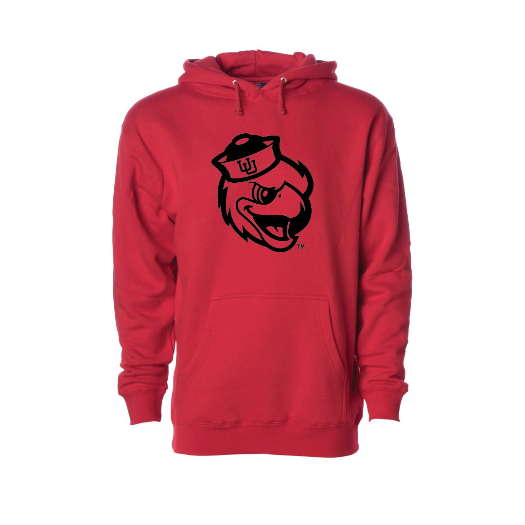 Swoop  Embroidered Hoodie